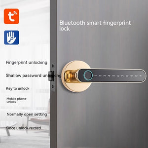 Fingerprint Lock Household Wooden Door Smart Lock